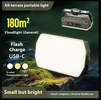 All-terrain portable light